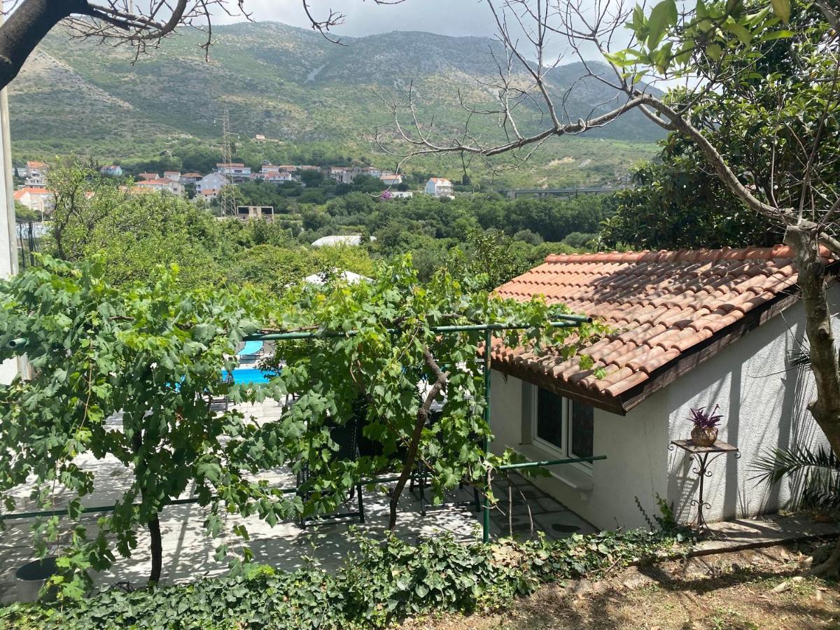Villa Terra Fontana 察夫塔特 外观 照片